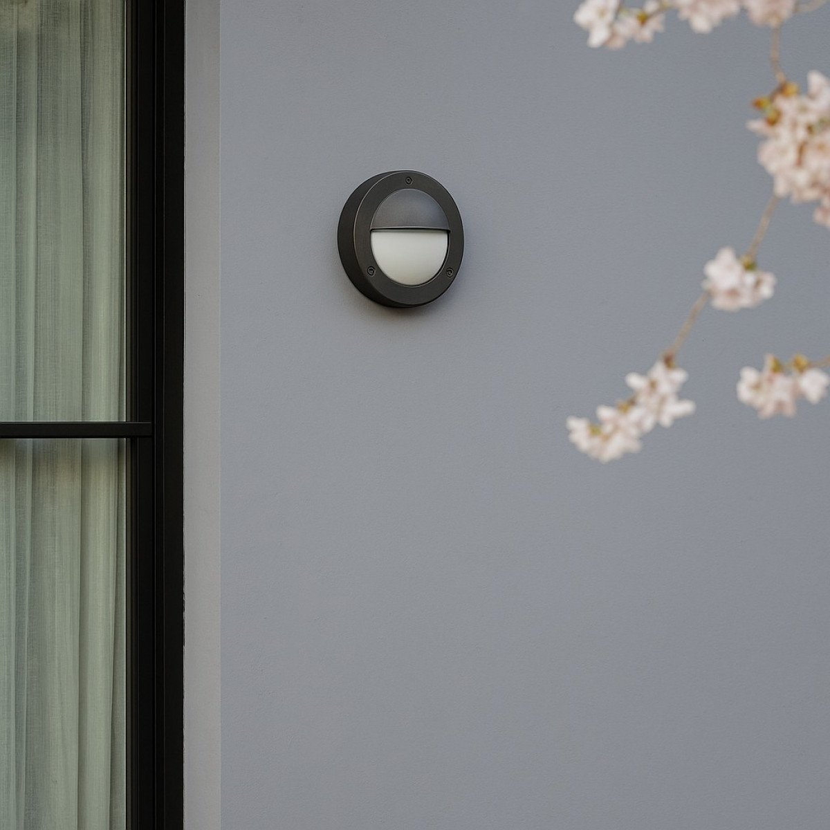 Wall light Pacific black brass