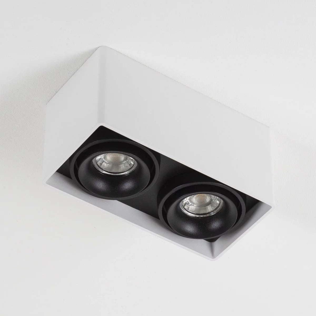 Wall-ceiling light Bjorn 2 White