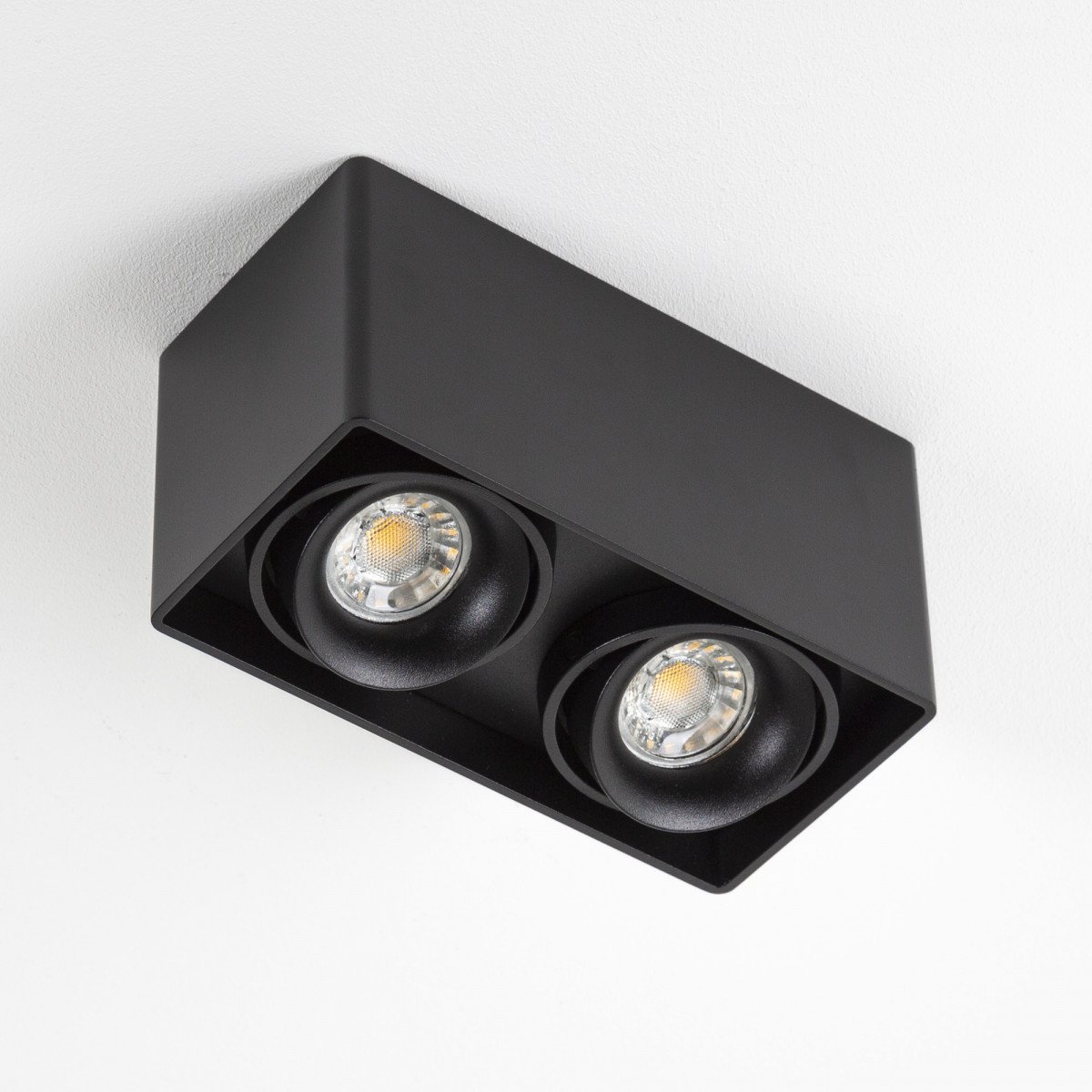 Wall-ceiling light Bjorn 2 Black