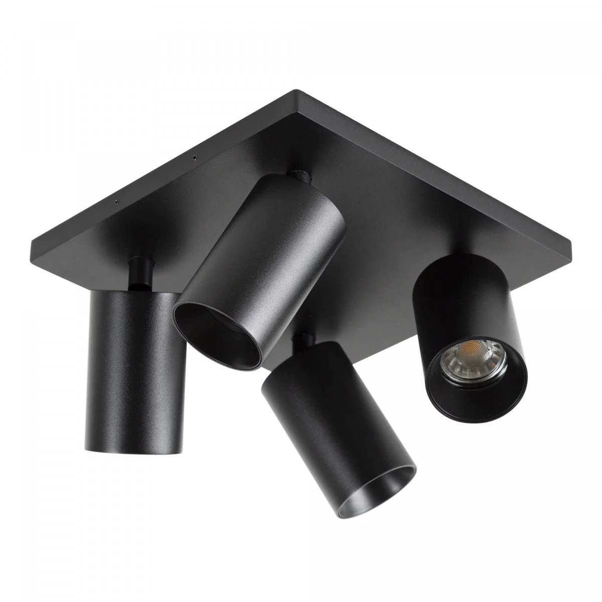 Wall-ceiling light Mila 4 Black / Black