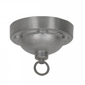 Ceiling mount raw alu Ceiling mount raw alu