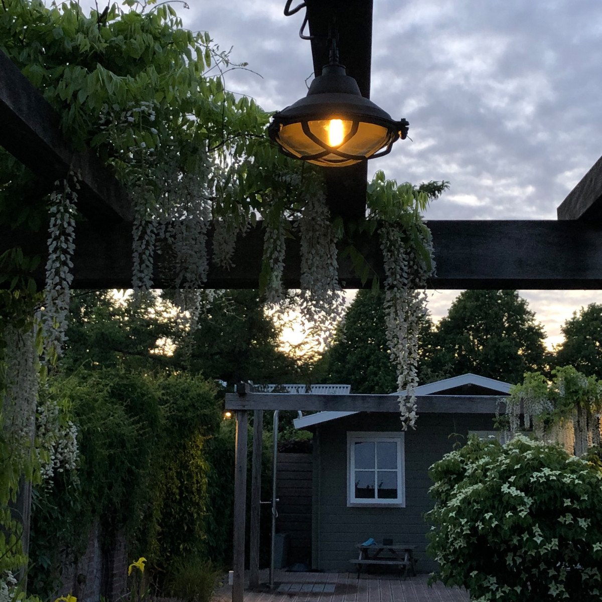 Pendant light Dover